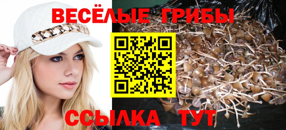 Галлюциногенные грибы MAGIC MUSHROOMS Касимов