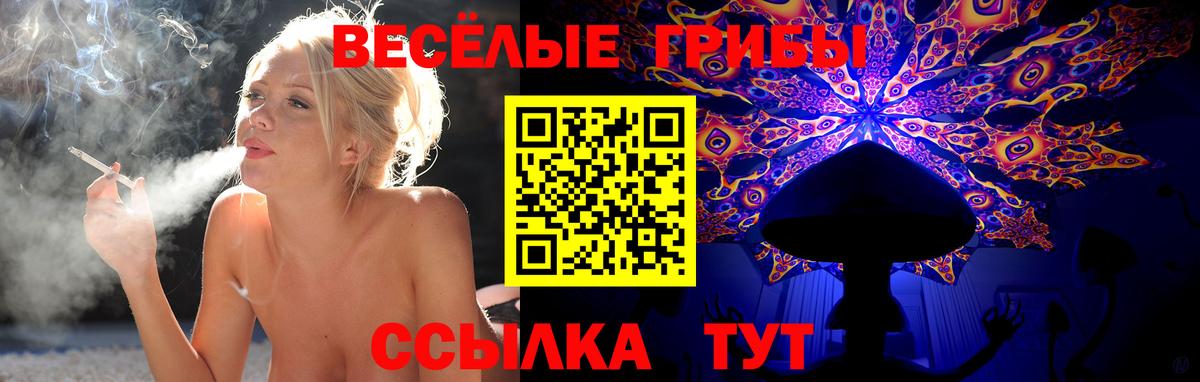 Псилоцибиновые грибы Cubensis  Вход с VPN  Псилоцибиновые грибы Magic Shrooms  Касимов 